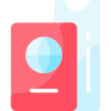 Passaporto icon