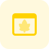 Maple leaf on isolated on a web browser icon