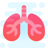 Lungs icon