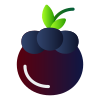 Mangosteen icon