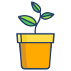 Flower Pot icon