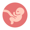 embrione icon