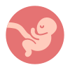 Embryo icon