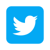 Logo Twitter encadré icon