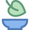 Comida vegana icon