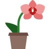 Orchidea icon