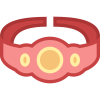 Championship Belt icon