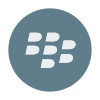 BlackBerry World icon