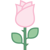 Rosa icon