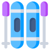 Ski Accessory icon