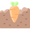 Carrot icon