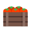 Box of Tomatoes icon