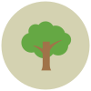 Árvore icon