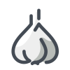 Garlic icon