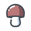 Белый гриб icon