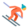 Ski alpin icon