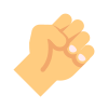 Fist icon