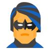 Nightwing icon
