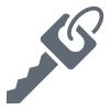 Car Key icon