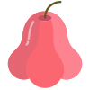 Rose Apple icon