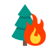 incendio forestal icon