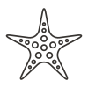 Sea Star icon