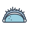 Burrito icon