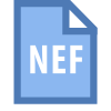 NEF icon