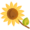 Sonnenblume icon