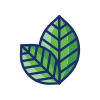 Plants icon