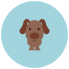 犬 icon