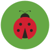 Insect icon