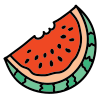 Watermelon icon