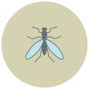 Mosca icon