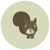 Squirrel icon