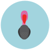 Turkeycock icon