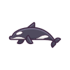 Killer Whale icon