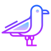 Möwe icon