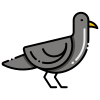 Cuervo icon