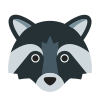 mapache icon