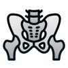 Pelvis icon