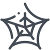 Spider web icon