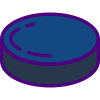 Puck icon