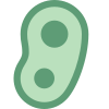 Bacteria icon