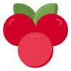 Cranberry icon