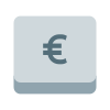 clé euro icon