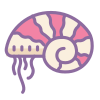 nautilo icon