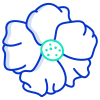 Nasturtium icon