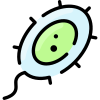 Bacteria icon