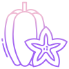 Star Fruit icon